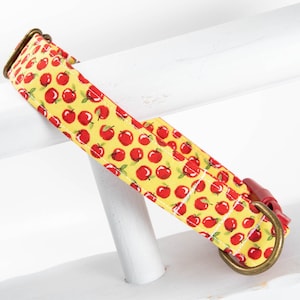 Apple Dog Collar: Yellow & Red, Antique Brass Hardware
