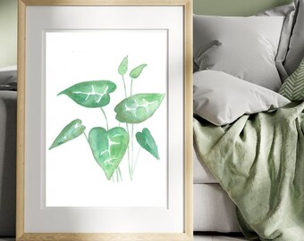 Anthurium kamerplant, aquarel door C. Liaros | Handgemaakte kunstprint