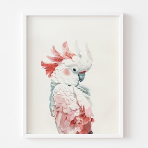 Stampa poster di pappagallo bianco - arte murale tropicale