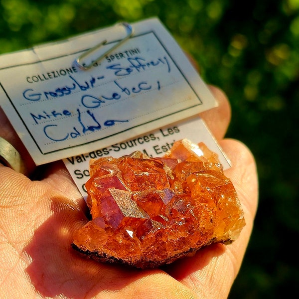RARE COLLECTORS Vibrant Orange Grossular Garnet, Jeffrey Mine, Val-Des-Sources, Quebec Canada Garnet / Ex Francesco Spertini Collection