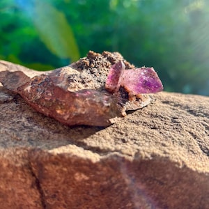 Brandberg Amethyst Cluster on Matrix / Brandberg Namibia / Three Trees Smokey Amethyst / Phantom Amethyst w Hematite / Goboboseb Namibia