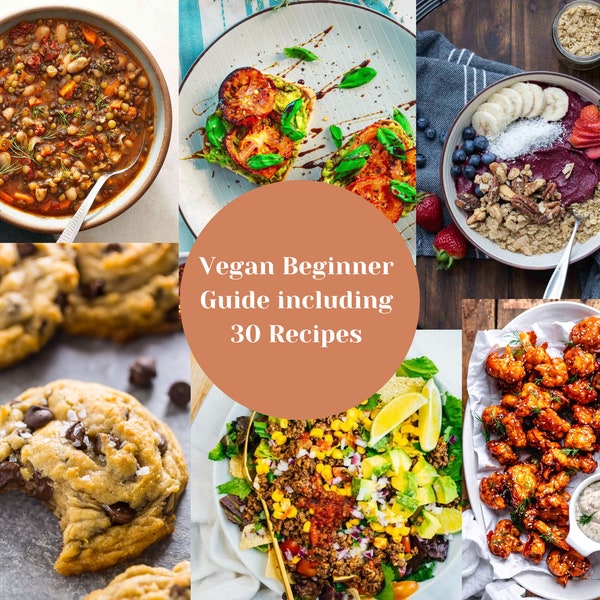 Vegan Beginner Ebook, 30 Vegan Starter Recipes, Plant Based Lifestyle and Dishes, Transitioning Vegan Guide, Convert to Vegan, Vegan Tips