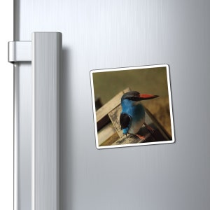 Perching Blue Kingfisher Photography Bird Nerd Magnets zdjęcie 2