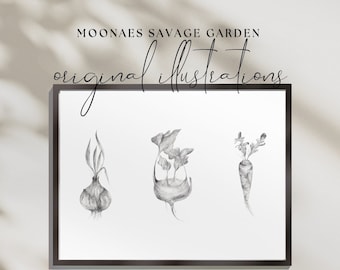 Root Vegetables Print: Hand-Drawn Vintage Botanical Art Printable (Digital Download)