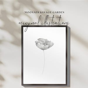 Poppy Flower Hand-Drawn Original Unique Art | Vintage Style Original Printable | Botanical Print Wall Art | Flower Wall Art