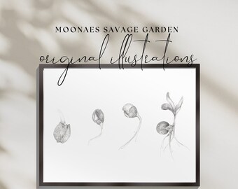 Vintage Sprout Illustration: Hand-Drawn  Printable Botanical Art (Digital Download)