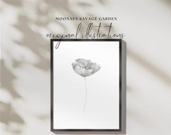 Lámina botánica de amapola: Arte vintage imprimible, dibujado a mano (descarga digital)