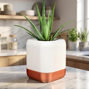 Peut inclure: Une plante d'aloe vera vert vif en pot dans un cache-pot de forme carrée. Le cache-pot présente une section supérieure blanche à côtes verticales et une base lisse de couleur cuivre métallique, créant un aspect bicolore distinct.