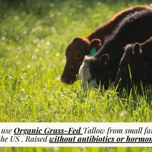 100% grass fed tallow balm non toxic moisturizer non toxic face cream non toxic face and body cream skin care with clean ingredients natural skin moisturizer 100% grass fed tallow balm organic face and body cream organic face and body lotion tallow lotion for body tallow lotion for face tallow cream for face tallow cream for body organic tallow balm