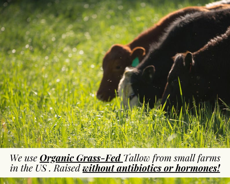 100% grass fed tallow balm non toxic moisturizer non toxic face cream non toxic face and body cream skin care with clean ingredients natural skin moisturizer 100% grass fed tallow balm organic face and body cream organic face and body lotion tallow lotion for body tallow lotion for face tallow cream for face tallow cream for body organic tallow balm