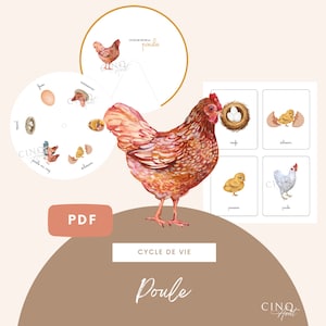 Roue Montessori du cycle de vie de la Poule, Jeu éducatif, Cartes de nomenclature, Images classifiées, Jeu d'apprentissage Poule, Maternelle