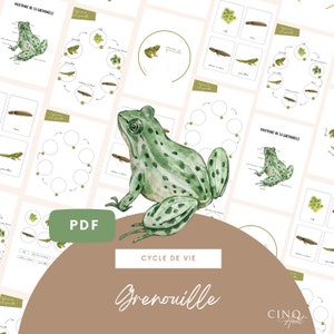 Kit complet - Cycle de vie de la Grenouille, Jeu éducatif, Cartes de nomenclature, Images classifiées, Roue Montessori, Maternelle