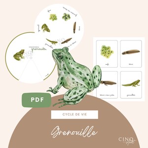 Roue - Cycle de vie de la Grenouille, Jeu éducatif, Cartes de nomenclature, Images classifiées, Maternelle