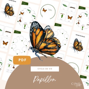 Kit complet - Cycle de vie du Papillon, Jeu éducatif, Cartes de nomenclature, Images classifiées, Papillon, Roue Montessori, Maternelle