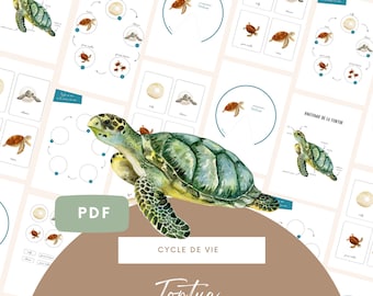 Goki – Jeu De Ponçage Tortue Rosy 41 Pièces – Jeu éducatif Créatif En Bois Dès 4 Ans