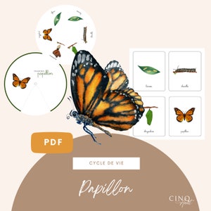 Roue du cycle de vie du Papillon, Jeu éducatif, Cartes de nomenclature, Images classifiées, Apprentissage Papillon, Maternelle