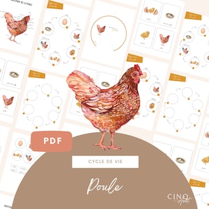 Kit complet - Cycle de vie de la Poule, Jeu éducatif, Cartes de nomenclature, Images classifiées, Poule, Roue Montessori, Maternelle