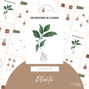 Kit complet - Cycle de vie de la Plante, Jeu éducatif, Cartes de nomenclature, Images classifiées, Roue Montessori, Maternelle