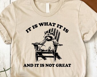 Vintage 90s Funny Raccoon T-Shirt: Retro Meme Tee
