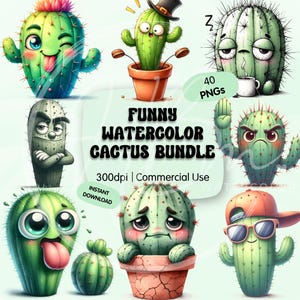 sustrato para cactus Sustrato orgánico para cactus y suculentas 3 L