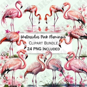 Bundle de cliparts flamant rose aquarelle, collection tropicale, oiseau exotique PNG, décoration de fête d'été, 24 illustrations vibrantes, usage Commercial