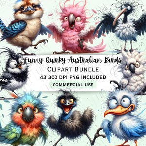 Lustiger australischer Vogel Clipart Bundle, Aquarell schrulliges Tier PNG, niedliche Wildtier-Charaktere, transparenter Hintergrund, kommerzielle Nutzung