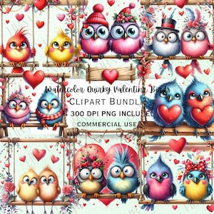 Aquarell schrullige Valentine Vögel Clipart Bundle, lustige gefiederte Kreatur Aufkleber, verrückte wunderliche Liebespaar auf Schaukel PNG, kommerzielle Nutzung