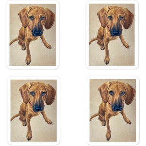 Stickers chien Stickers lévrier roux Stickers chien sauveteur Sticker portrait d'animal de compagnie Stickers ordinateur portable chien de compagnie Sticker bouteille d'eau scrapbooking
