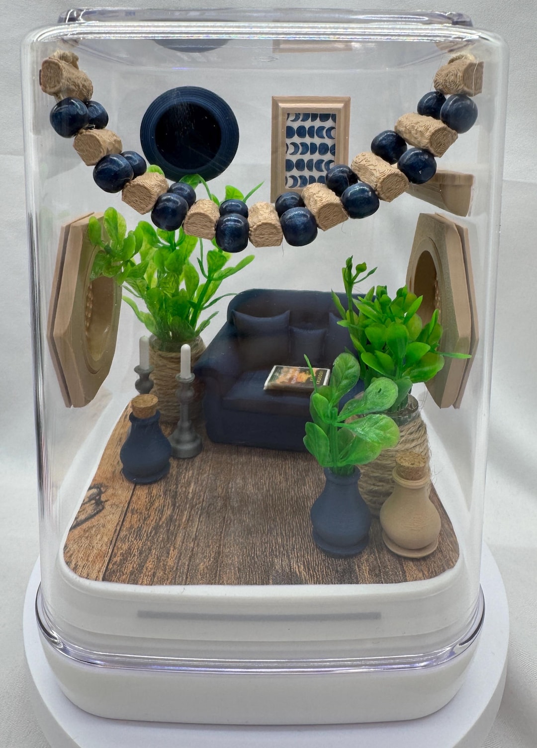 The Chic Spood Crib Jumping Spider Enclosure, Pet House, Home - Etsy