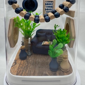 The Chic Spood Crib jumping spider enclosure, pet house, home