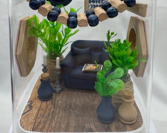 Enclos pour araignées sauteuses The Chic Spod Crib, niche pour animaux de compagnie, maison