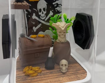 Recinto para arañas saltadoras con temática pirata / Terrario decorado