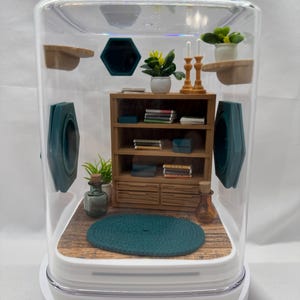 Accessory Pack for The spider study jumping spider enclosure