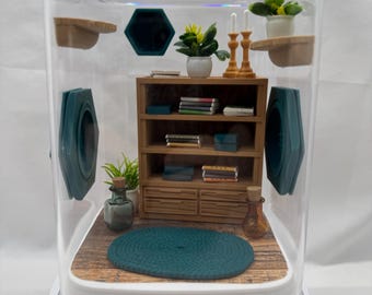 Accessory Pack for The spider study jumping spider enclosure