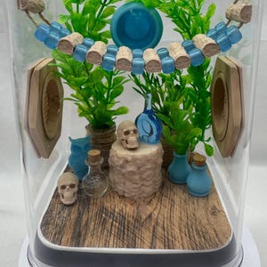 Blue Glow jumping spider enclosure, pet house, home