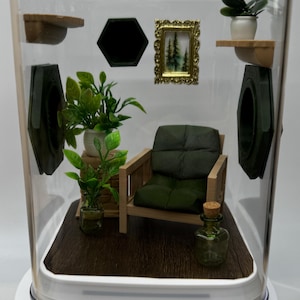 El recinto para arañas saltadoras de Great Outdoors