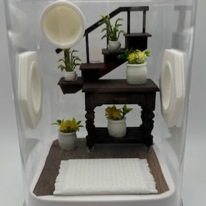 Jumping Spider Enclosure, Unique Staircase Habitat, Modern Pet Home