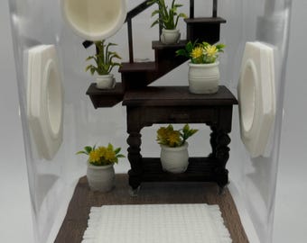 Jumping Spider Enclosure, Unique Staircase Habitat, Modern Pet Home