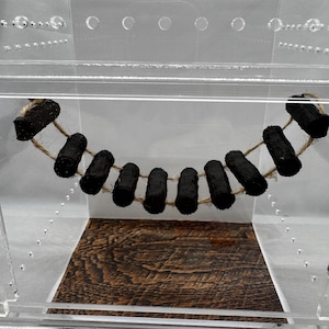Magnetische Springspinne-Brücke | Terrarium Dekor | Spinnen Gehege Zubehör | Personalisierbar |  Bereicherung