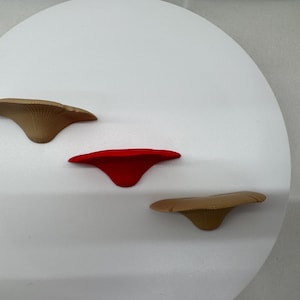 May include: Three wall-mounted shelves in the shape of a mushroom. Two are brown and one is red.