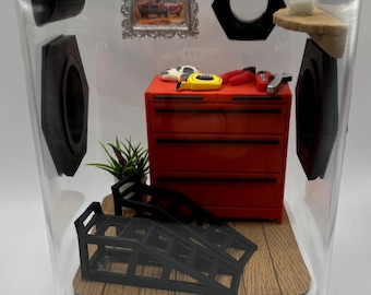 Recinto decorado para aranhas-saltadoras em garagem (12,7 x 12,7 x 17,8 cm)