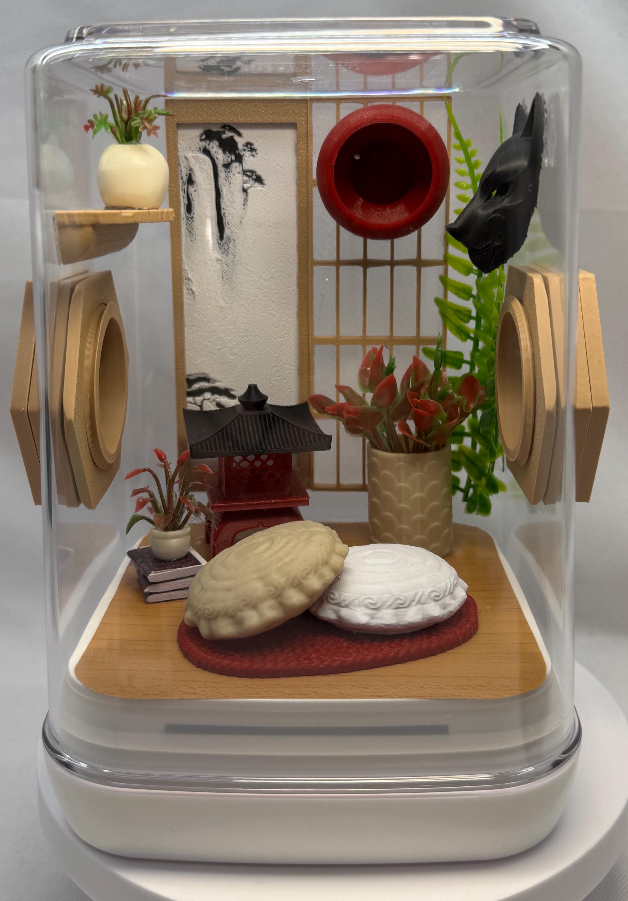 Japan Inspired Jumping Spider Enclosure, Terrarium, Acrylic, Home