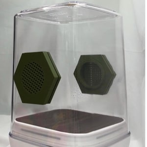 Custom Jumping Spider Enclosure: Personalized Habitat (7x5x5 inch)