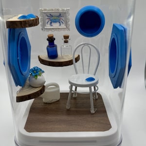 Jumping Spider Enclosure, Beach Chair Terrarium, Coastal Decor, Unique Spider Habitat