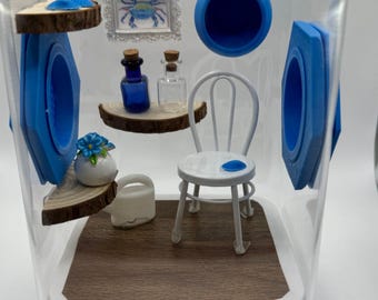 Recinto para arañas saltarinas, terrario con forma de silla de playa, decoración costera, hábitat único para arañas.