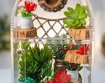 Jumping Spider Decorated Enclosure/ Front Opening with Custom Decor