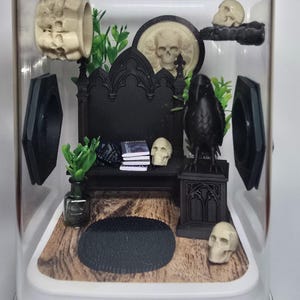 Gothic Jumping Spider Enclosure: Custom Arachnid Terrarium