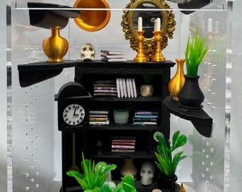 Recinto oscuro para arañas saltarinas con decoración / Hábitat para arañas hecho a mano