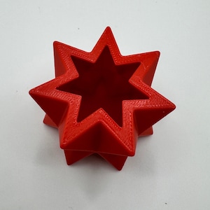 Jumping Spider Star Hide: Habitat Accessories