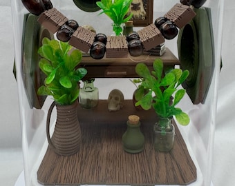 Jumping Spider Enclosure 5x5x7 | Decorated Jungle Terrarium | 3D Printed Habitat (Bottom Opening)